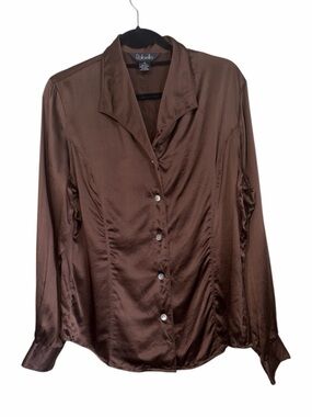 Rafaella 100% Silk Chocolate Brown Button Down Blouse Size 12